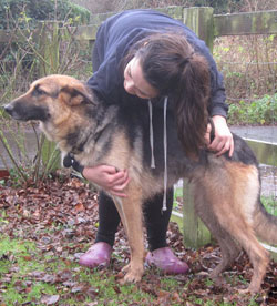 Pregnant dog who was 'left for dead' and gave birth to puppies