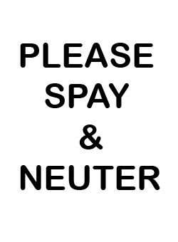 please spay and neuter your pets