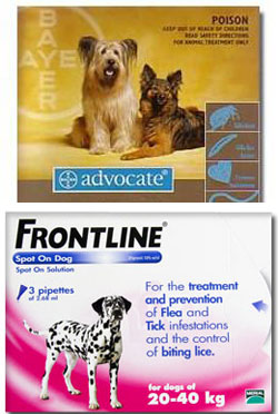 toxic spot on treatments for dogs