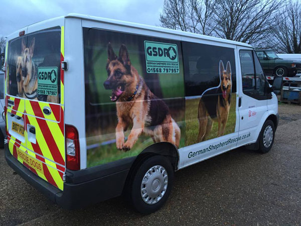 the new gsdr transporter van