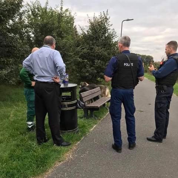 two caucasians left tied to a park bench