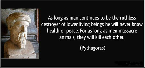 pythagoras quote about killing animals