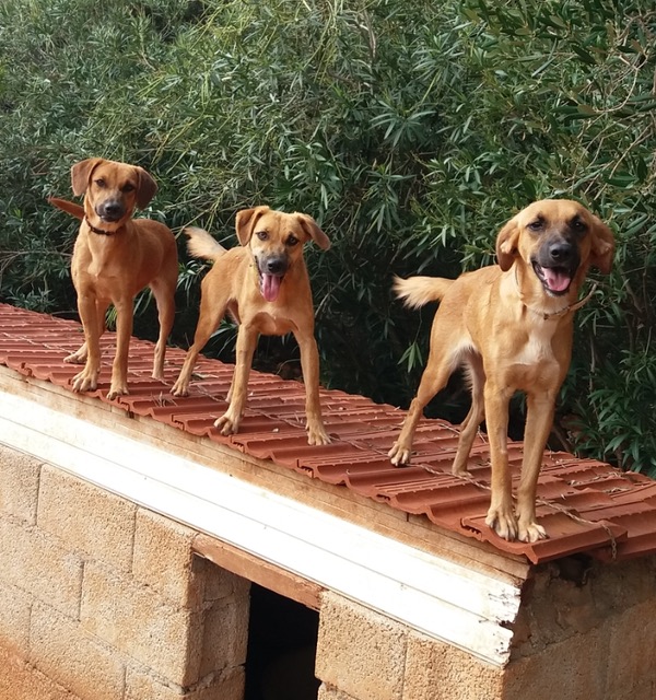 Rosa with her sisters Rita and Ruby